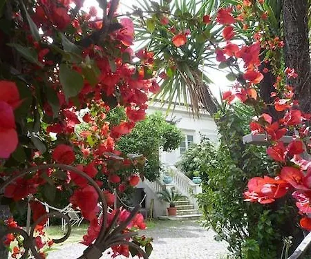 Loft La Nasse アパート